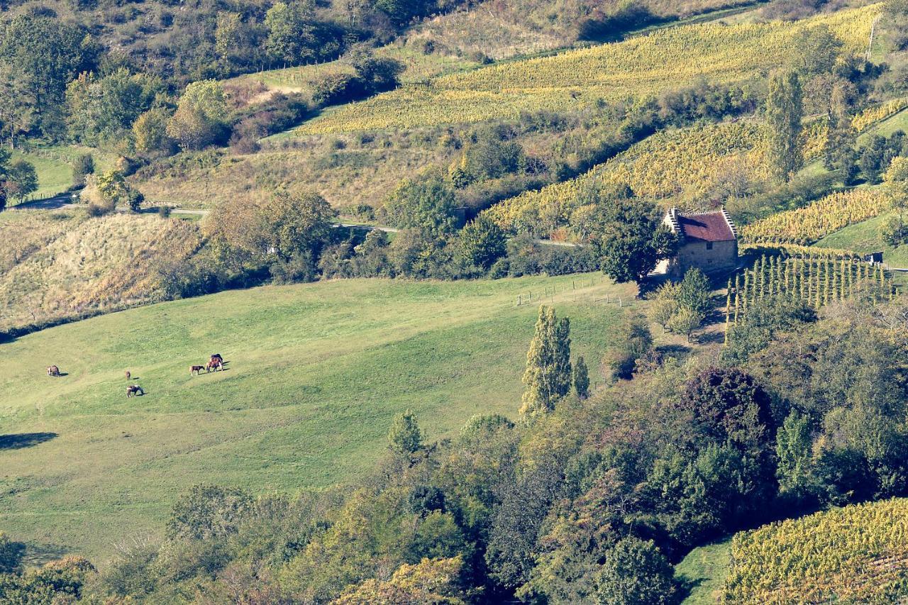 Les Billardes - Le Gite - Jura Gizia Экстерьер фото